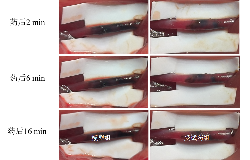 1726825105262364.png 2.png