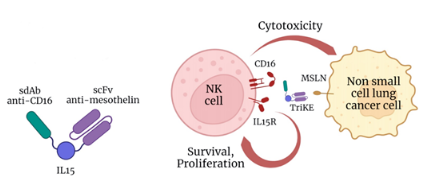 1663290598561822.png image.png