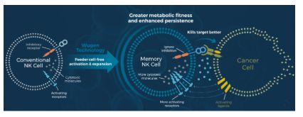 1663290625761232.png image.png