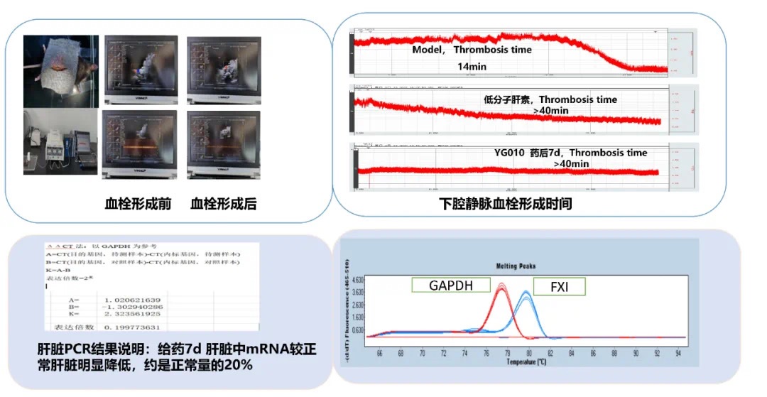 1664357341124658.jpg 391c9f52-7704-4d8f-bd4e-6360faa50ceb.jpg