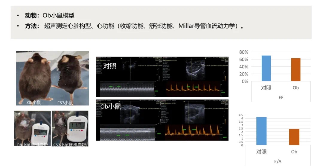 1664357357113590.jpg 947443d6-2b7e-49a0-ba53-99170cbc9287.jpg