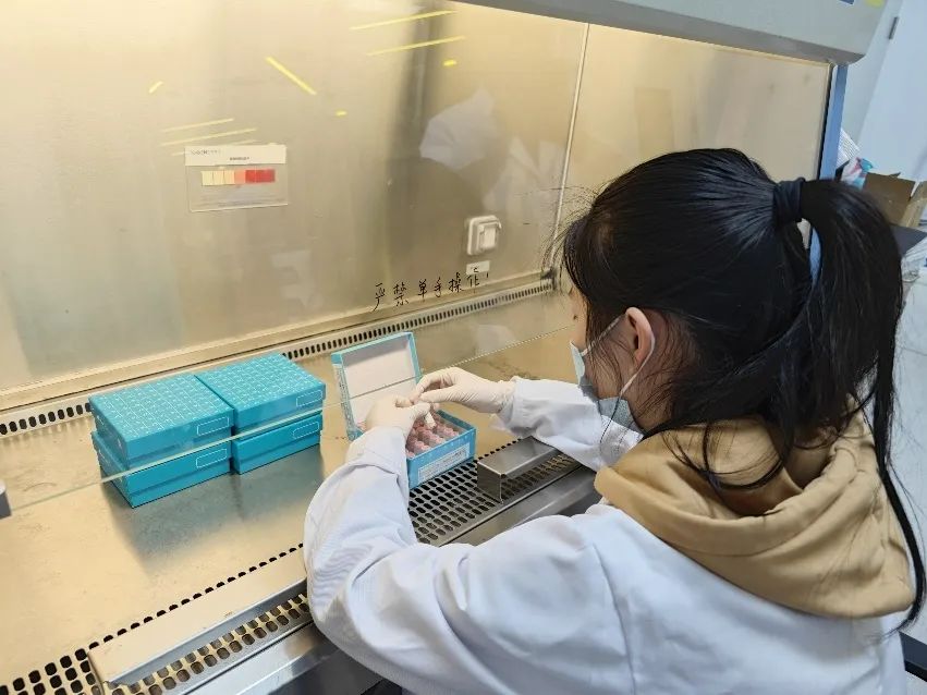 1701133260150740.jpg 640 (2).jpg