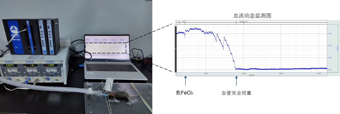 1701135066116444.png 640 (10).png