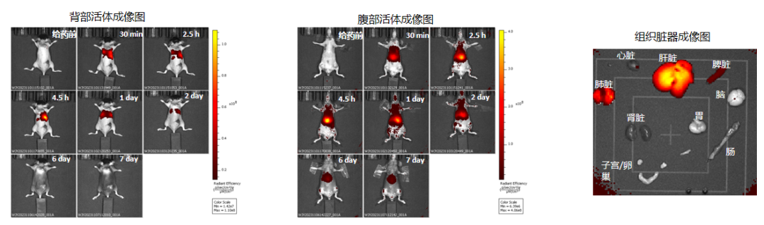 1701222702140429.png 640 (3).png