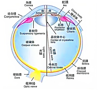 1716972082718544.png 1.png